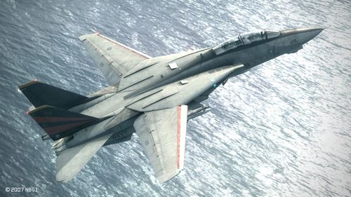 AC6 F-14D.jpg
