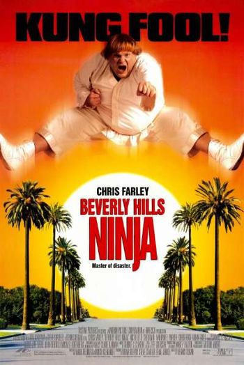 nicollette sheridan beverly hills ninja