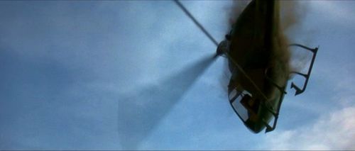 Goldeneye Xenia chopper4.jpg