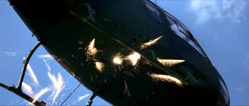 Goldeneye Xenia chopper3.jpg