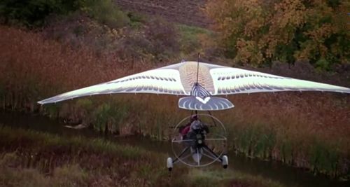 Fly Away Home - The Internet Movie Plane Database