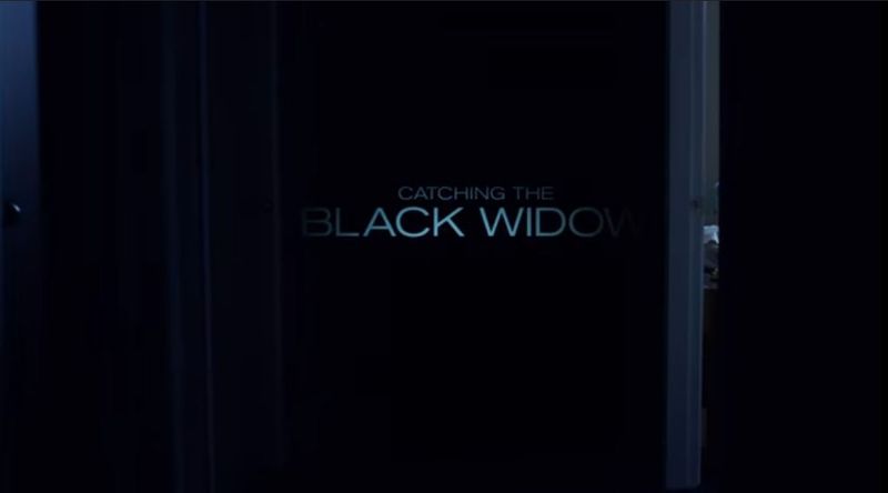 File:CatchingBW title.jpg