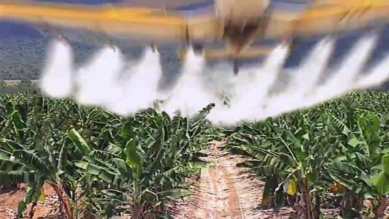 File:Fresh2009 02034.jpg