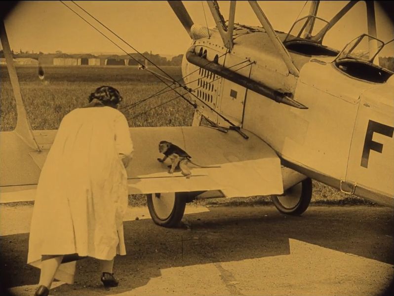 File:LautreAile 02450.jpg