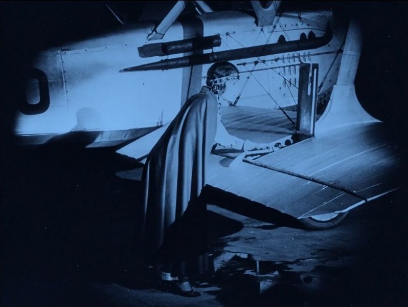 File:LautreAile 03032.jpg