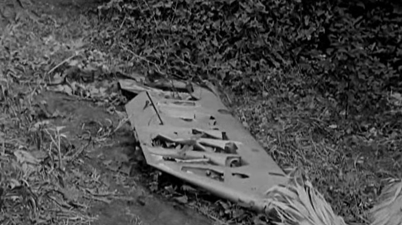 File:The Cyclops wing2.jpg