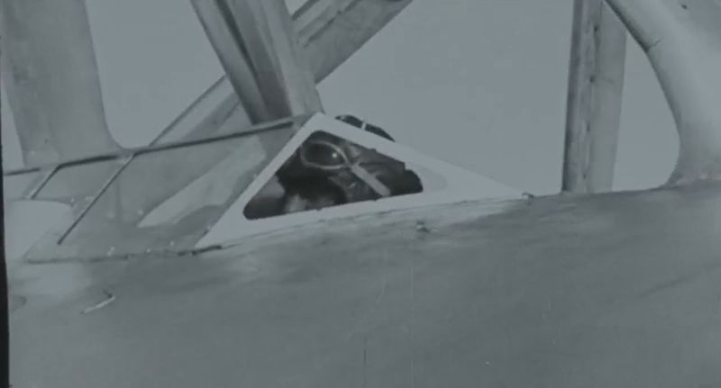 File:Titina 11435.jpg